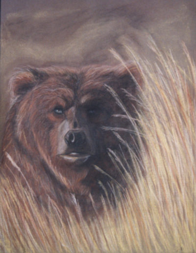 Esther Maurer, Dessin au pastel L'ours, 2003